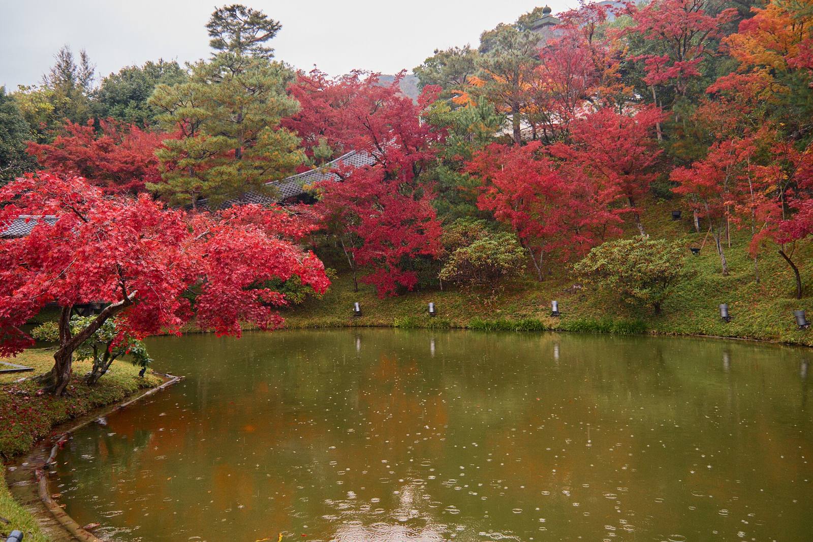 水辺の庭（仮の写真）