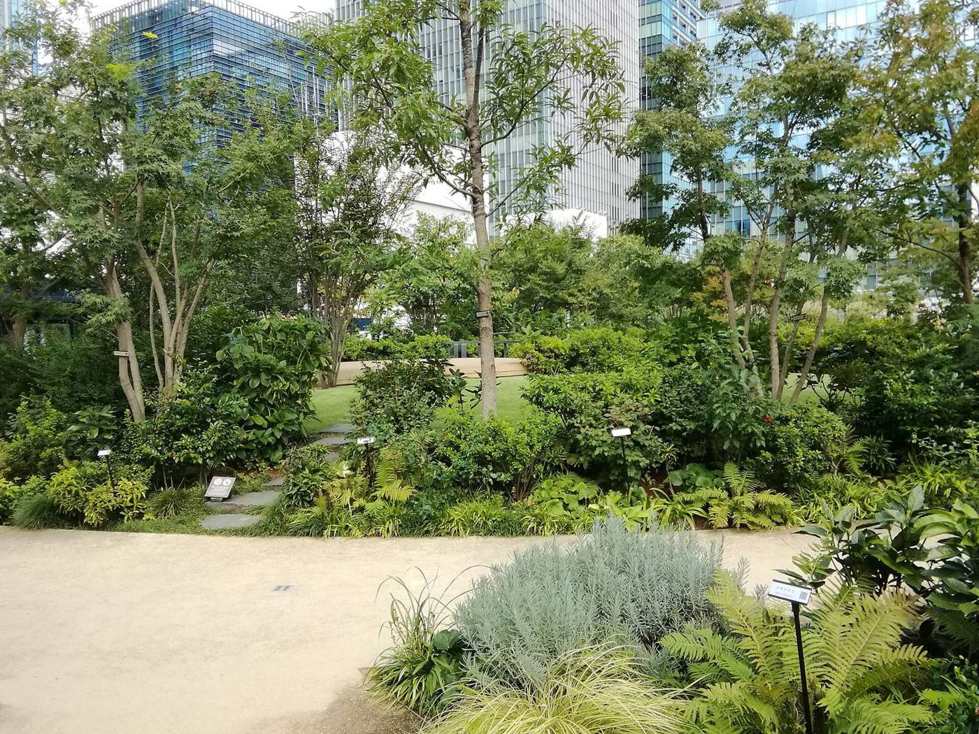 屋上庭園（仮の写真）