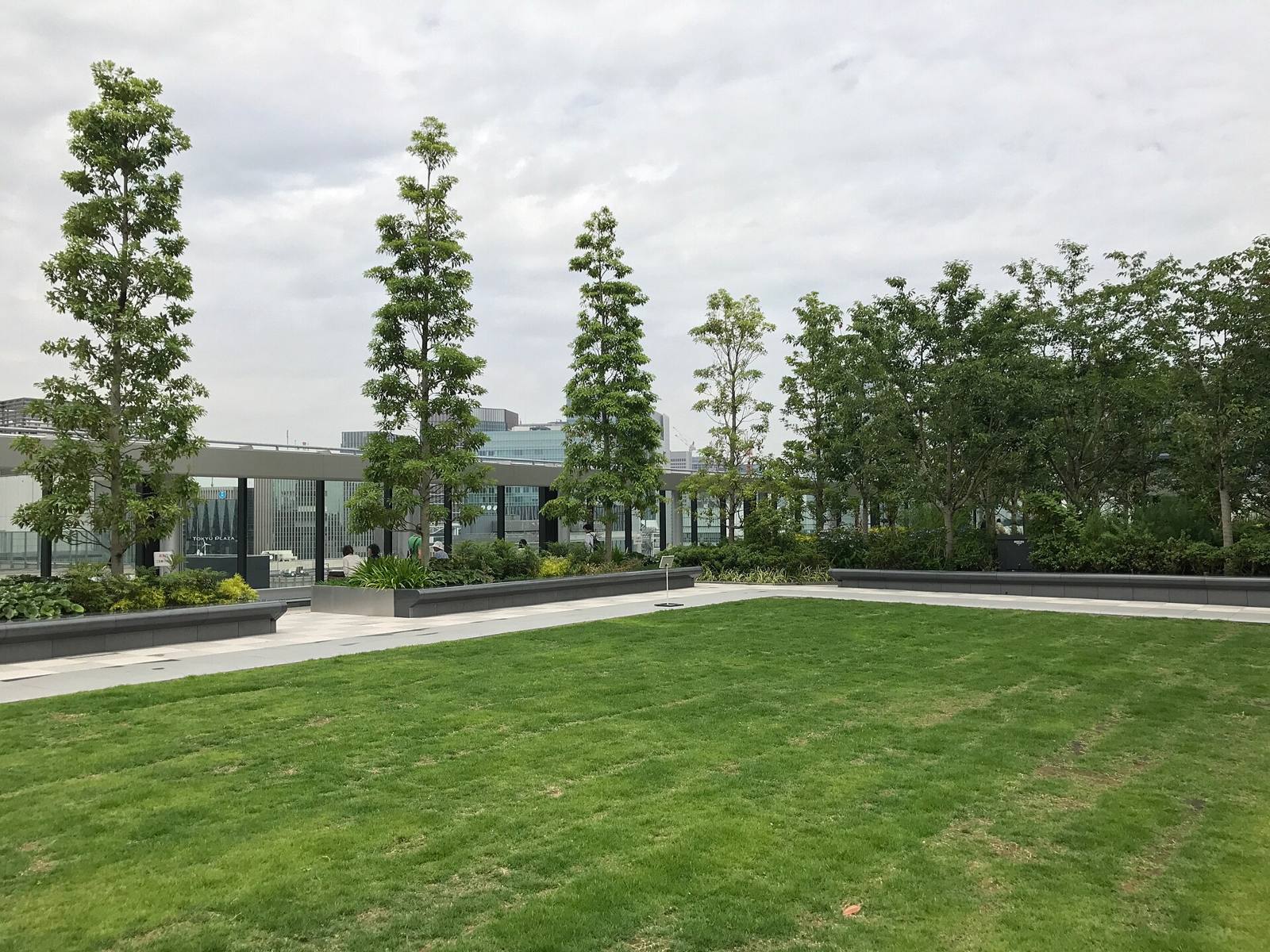 芝生の広場（仮の写真）