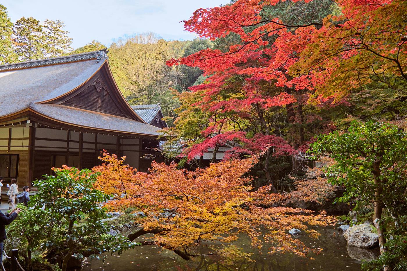 寺の庭（仮の写真）