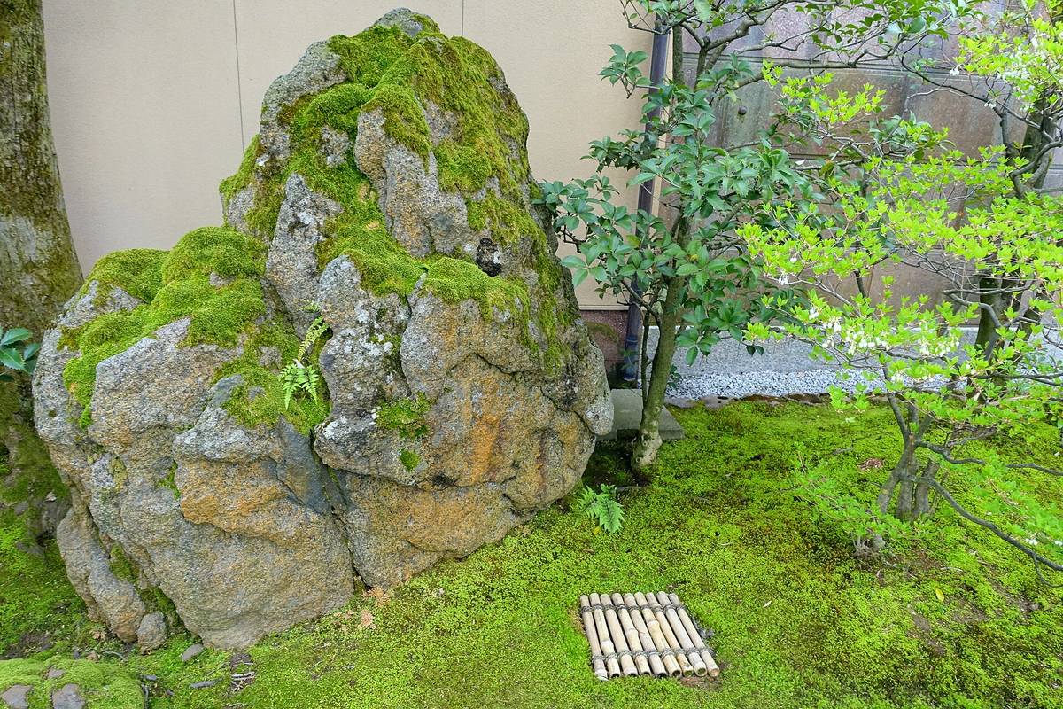 苔むした石(仮の写真)